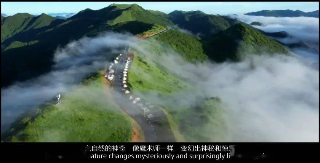 小马一键重装系统怎么装的-问题是种子,知识是花朵